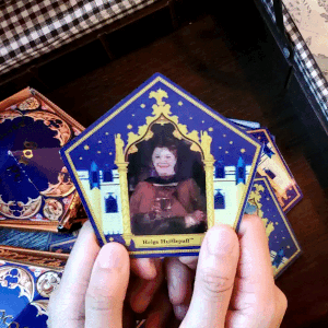 chocolate_frog-Hufflepuff.gif