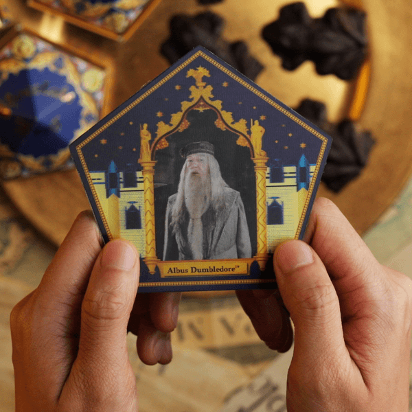 ChocolateFrog-2019-HarryPotter-Product-_13-4895205603531.gif