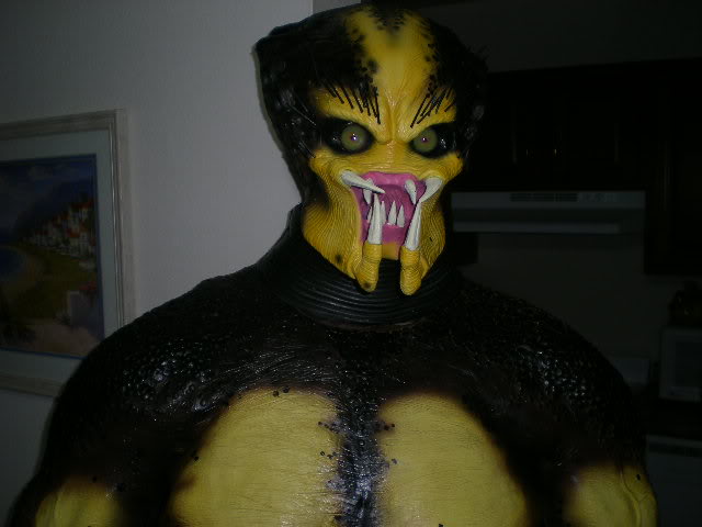 Chris181.jpg