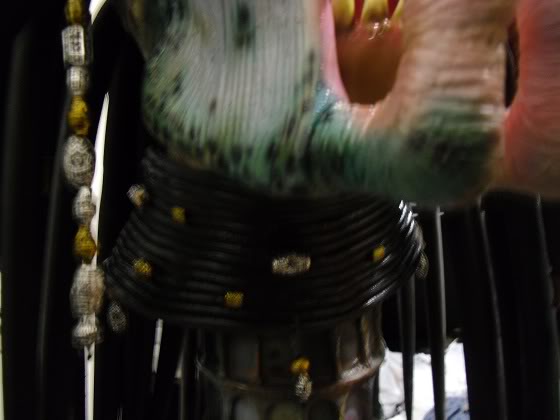 CIMG0092.jpg