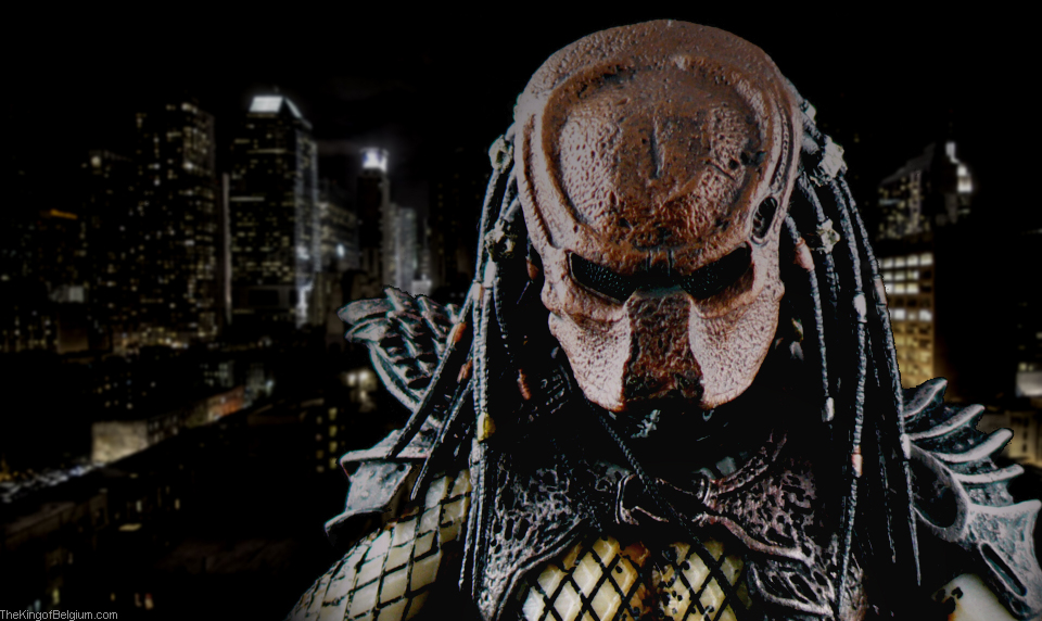 city_head.jpg