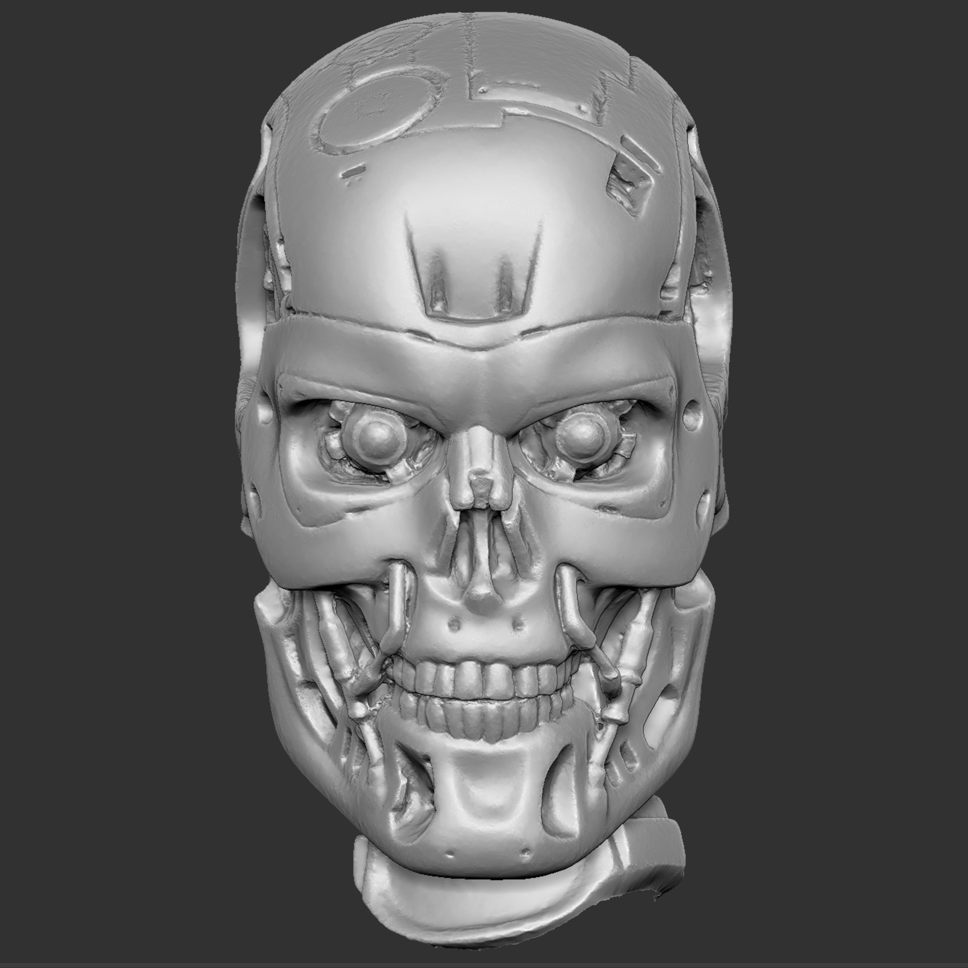 CMskull01.jpg