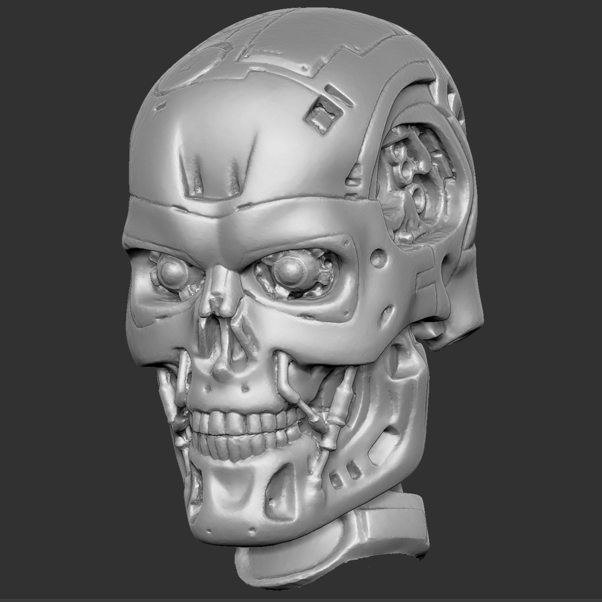 CMskull02.jpg