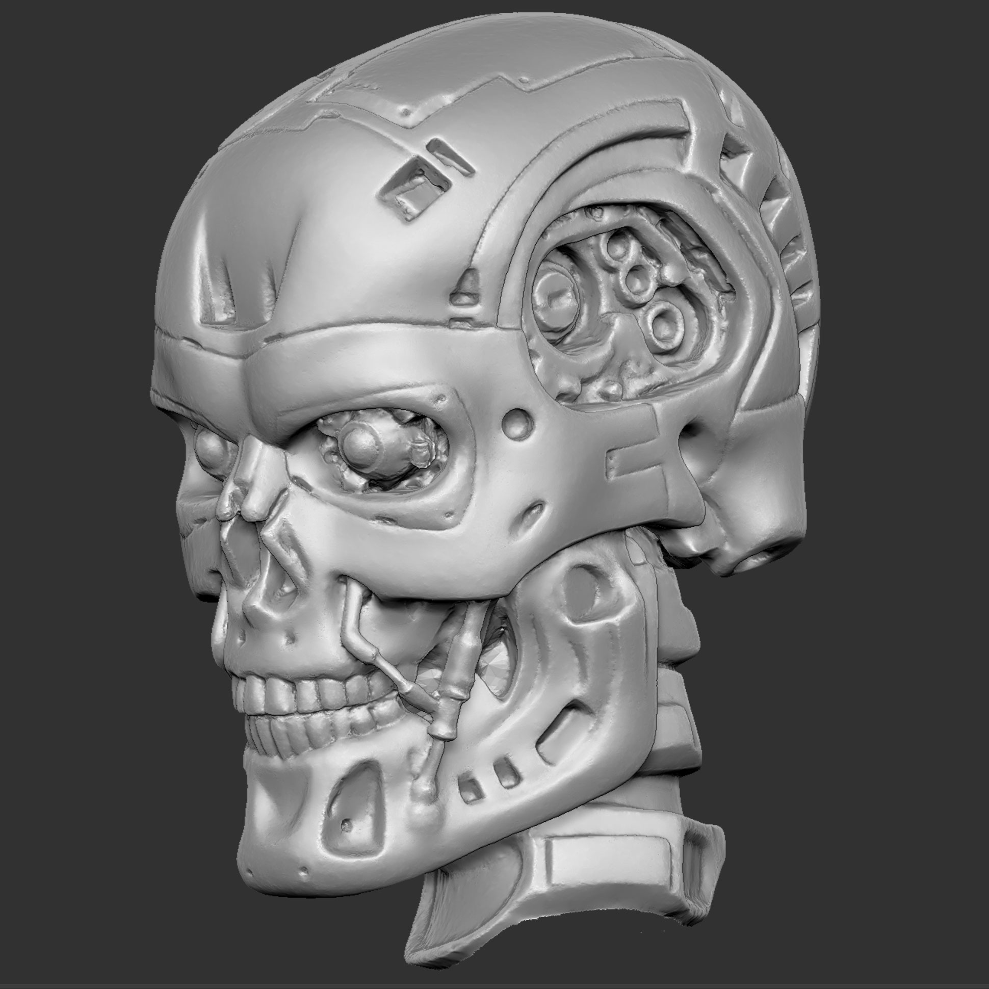 CMskull03.jpg