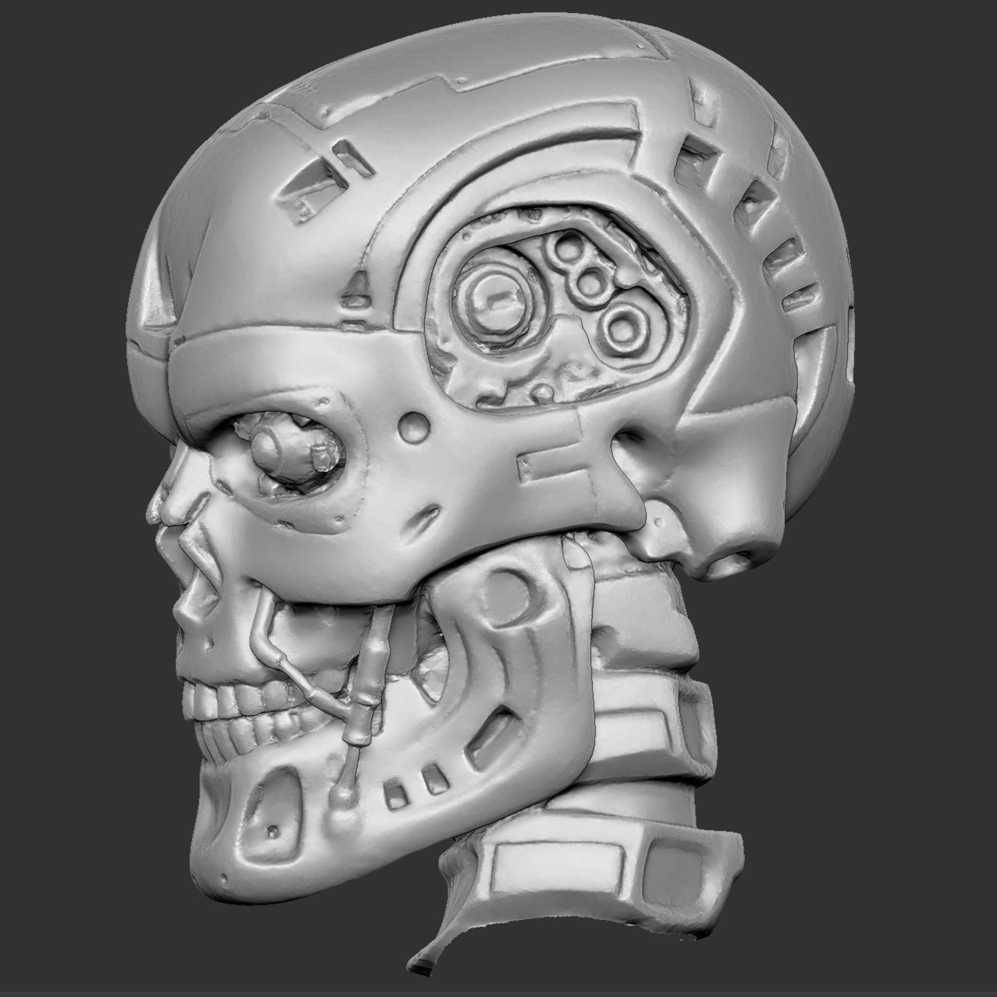 CMskull04.jpg