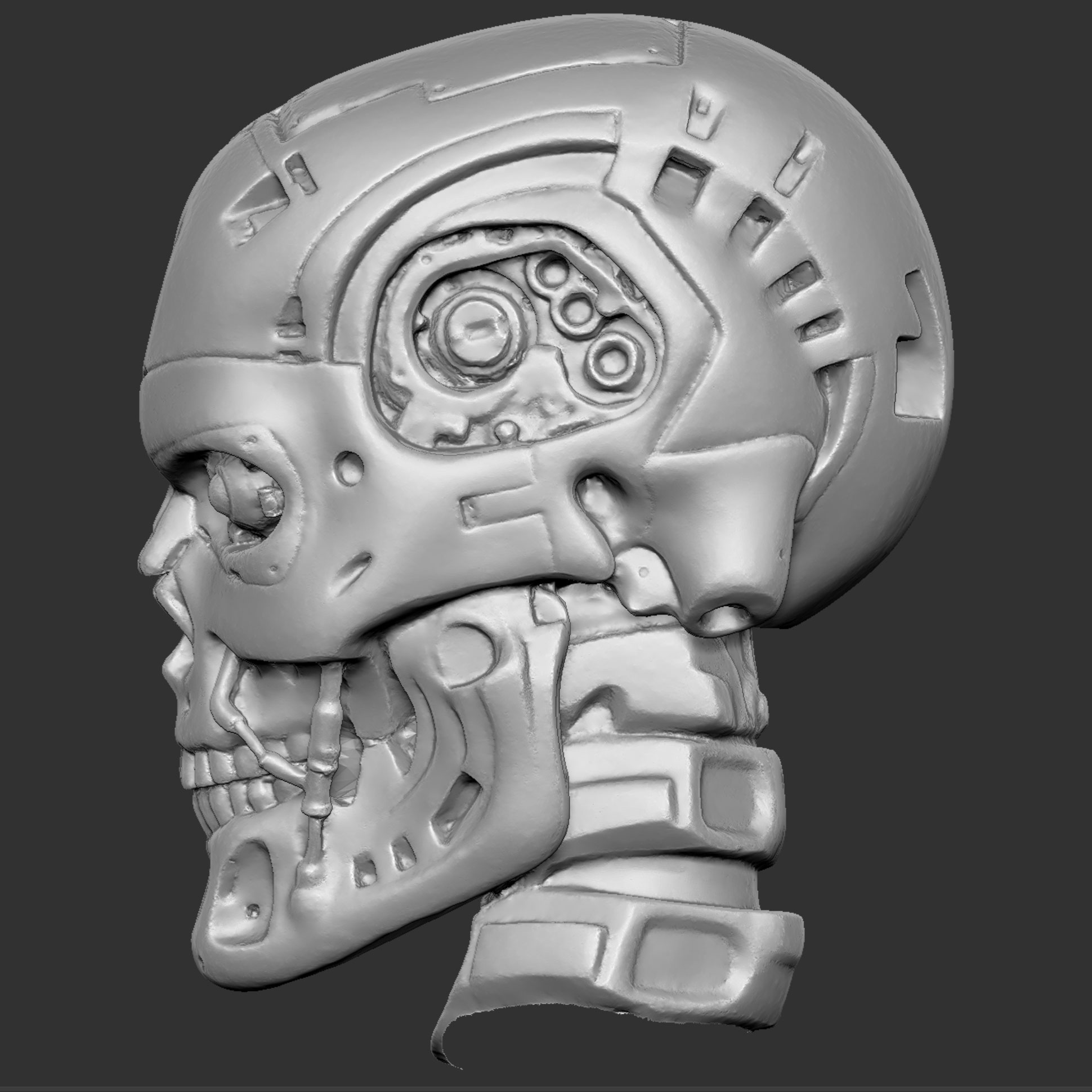 CMskull05.jpg