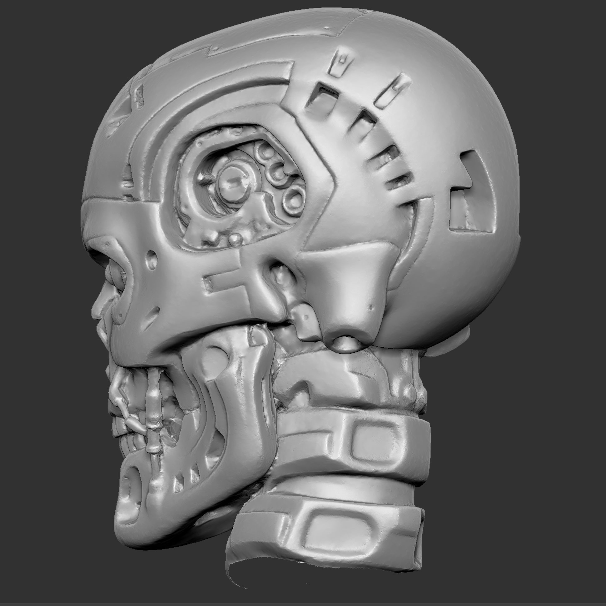 CMskull06.jpg