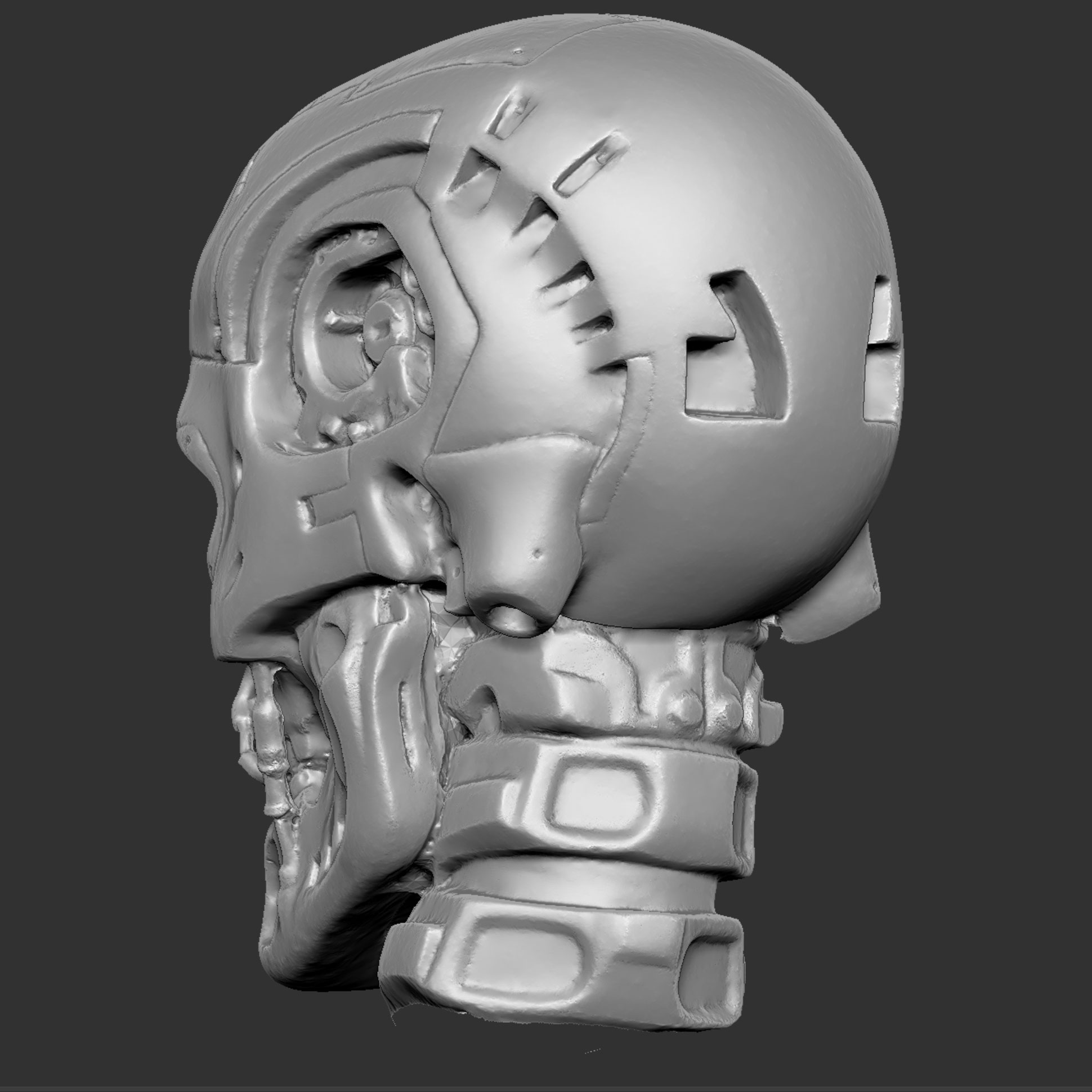 CMskull07.jpg