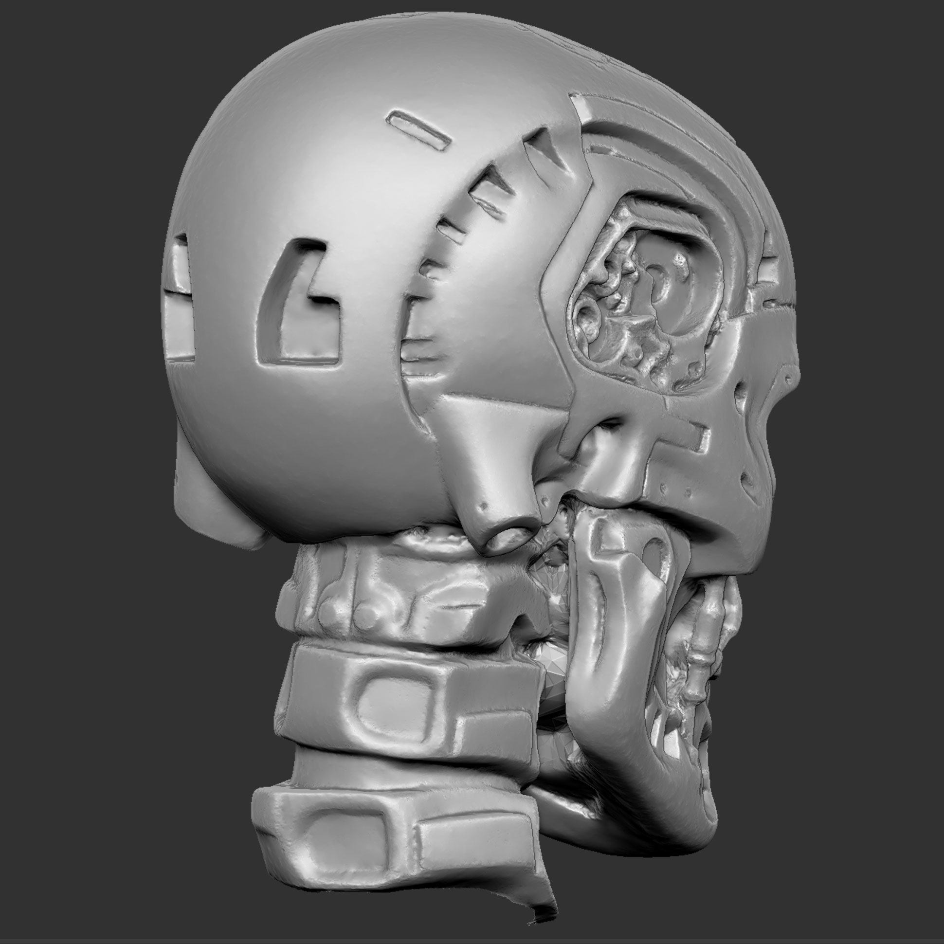 CMskull11.jpg