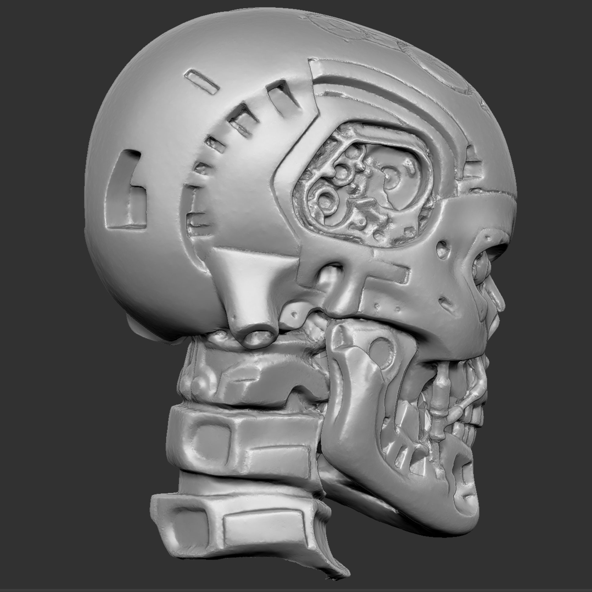 CMskull12.jpg