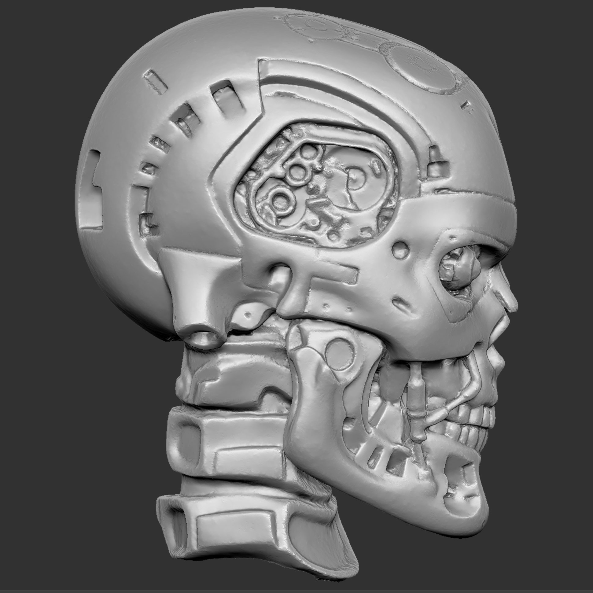 CMskull13.jpg