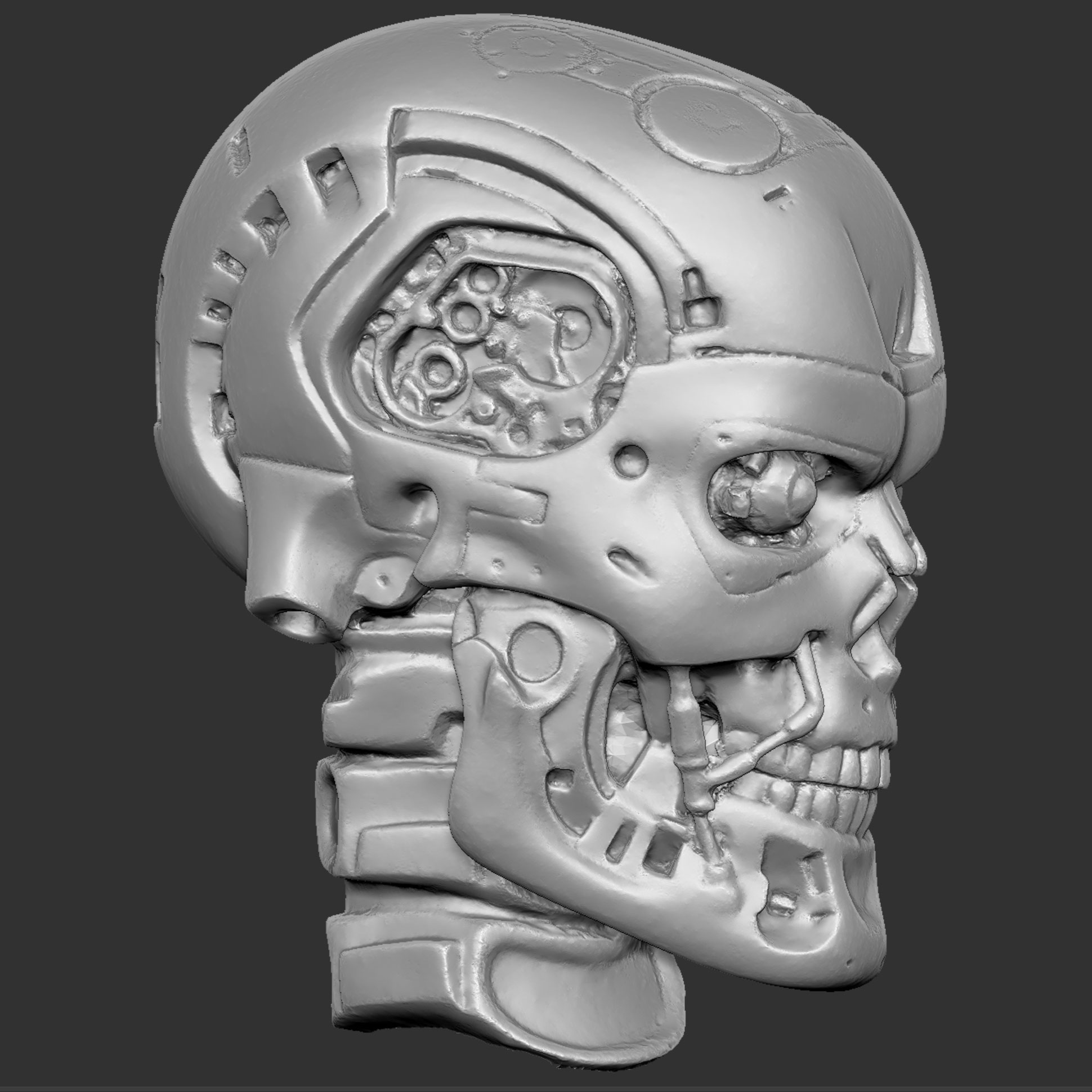 CMskull14.jpg