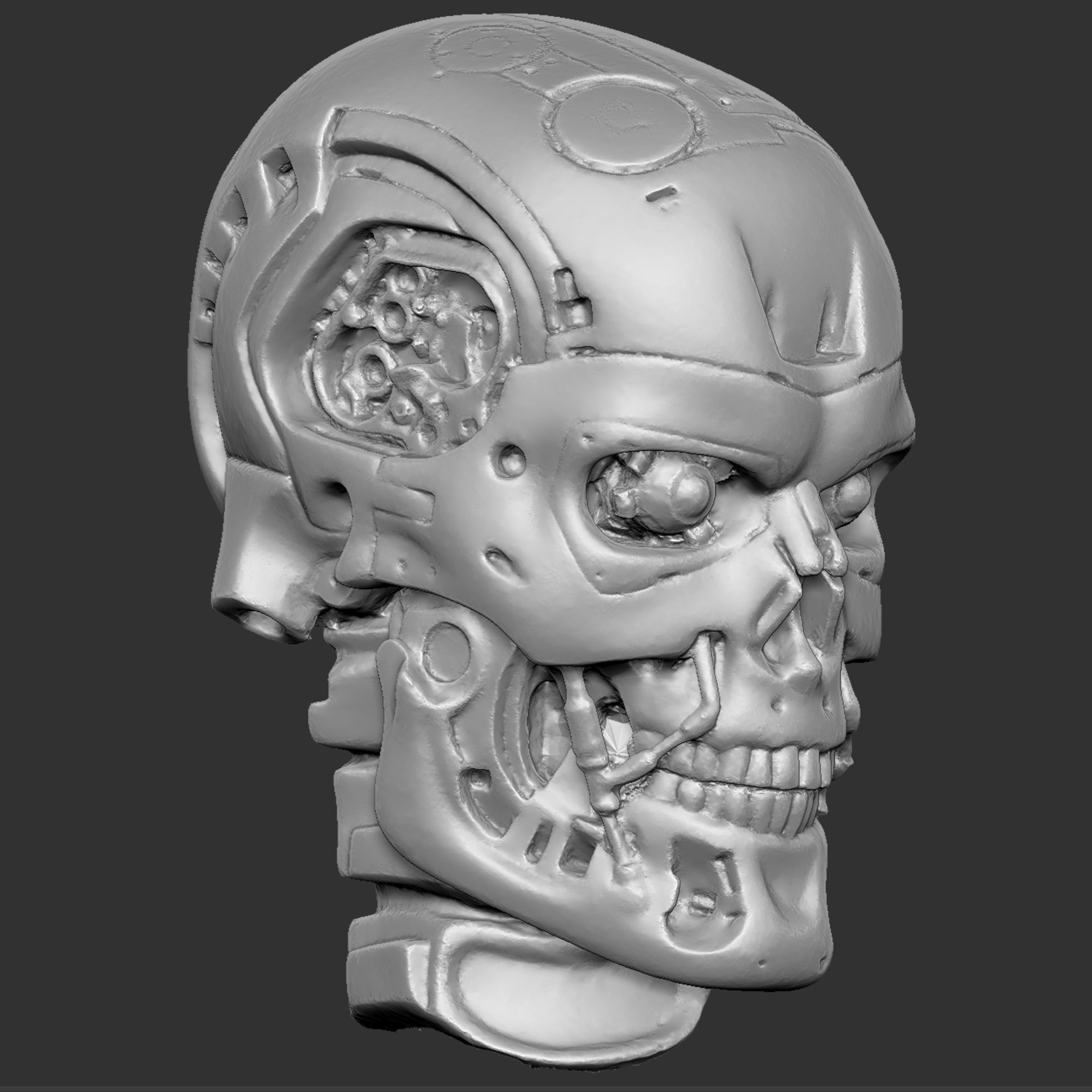 CMskull15.jpg