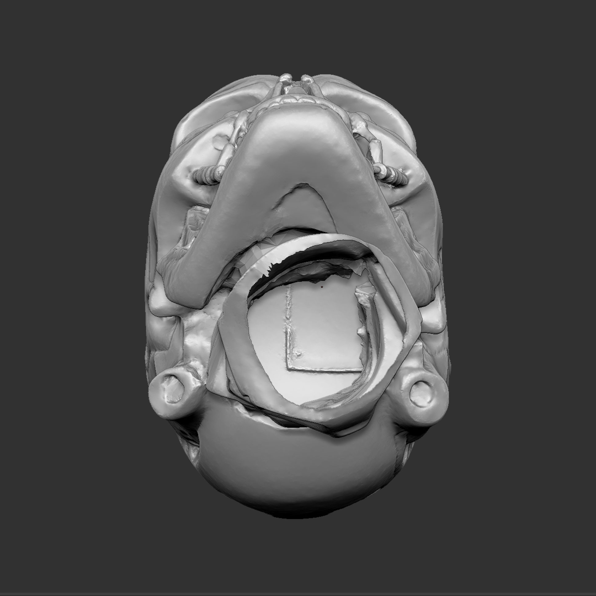 CMskull18.jpg