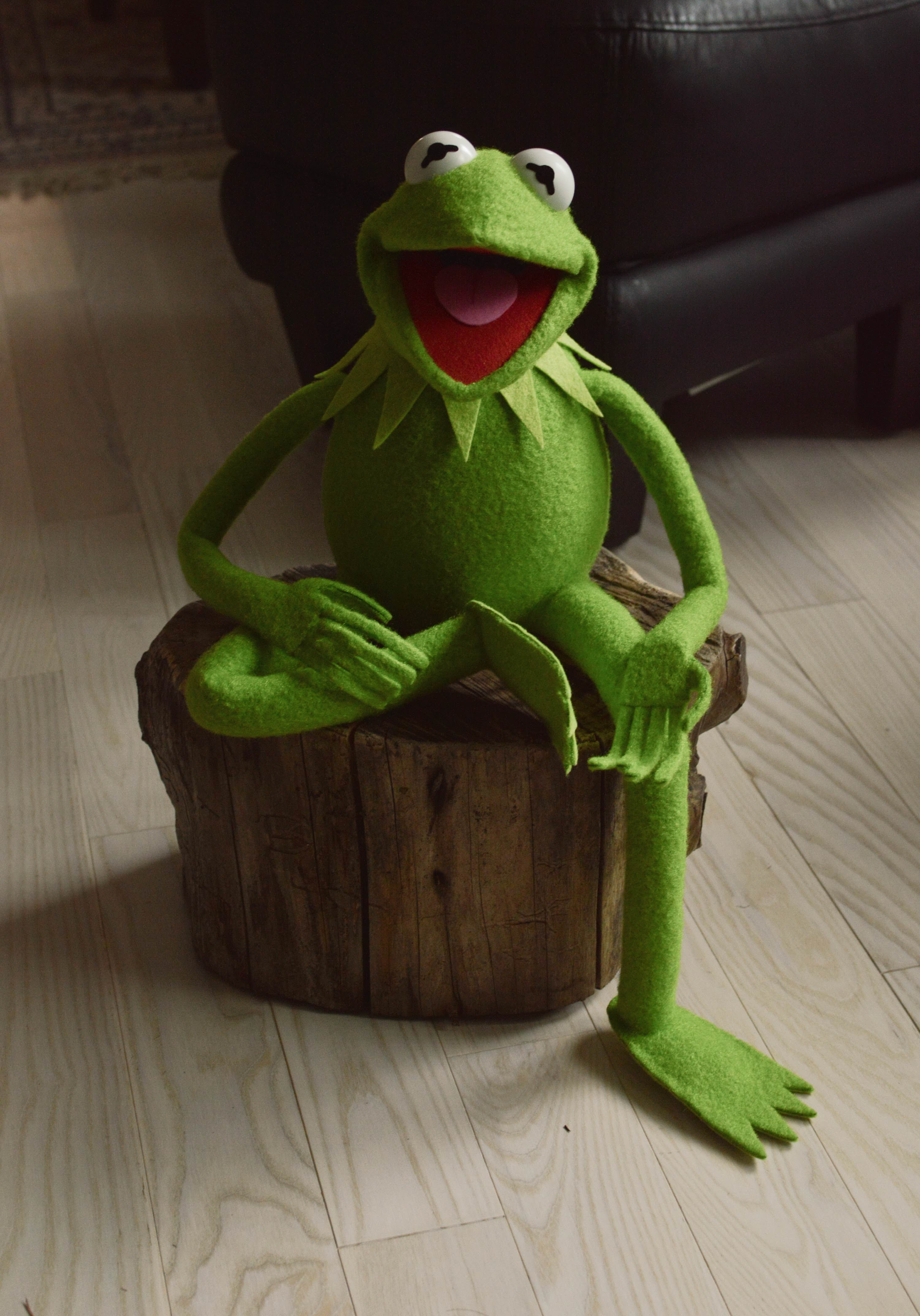 diy kermit the frog puppet