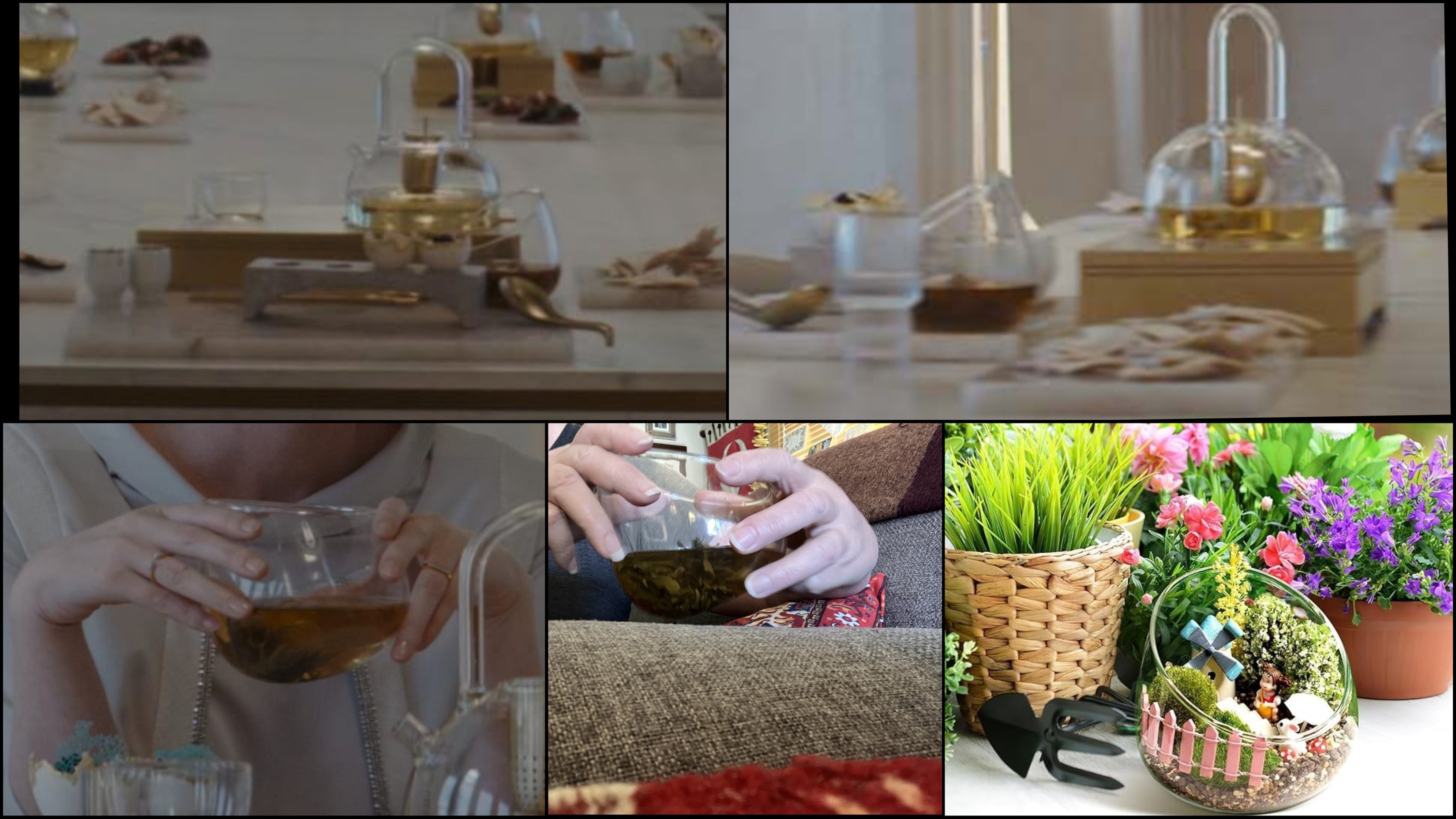 Collage_HD 2025-06-21 00_09_05.jpg