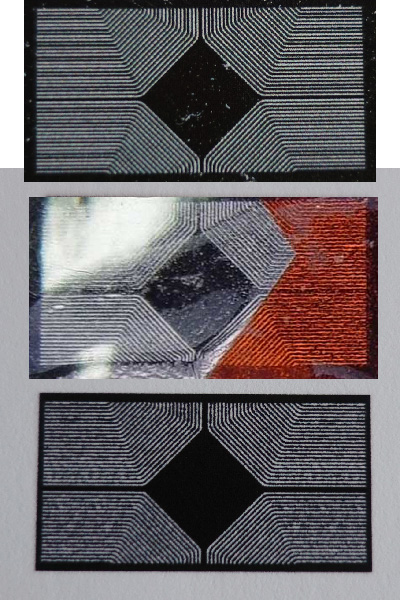 comparaison puces.jpg