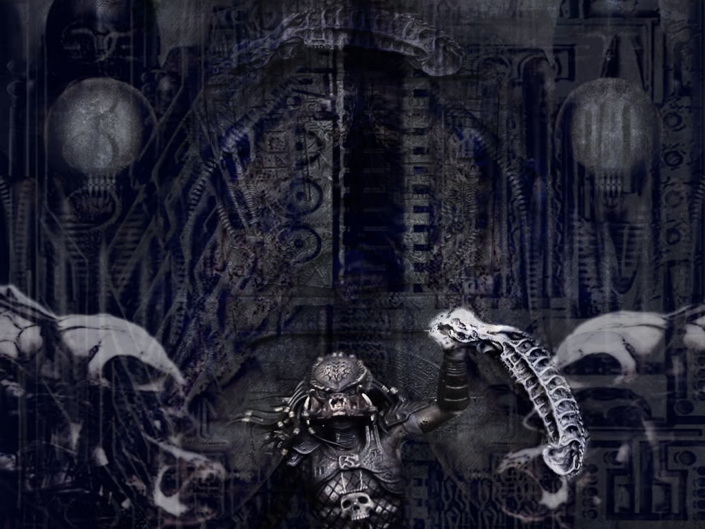 conquerwallpaper.jpg