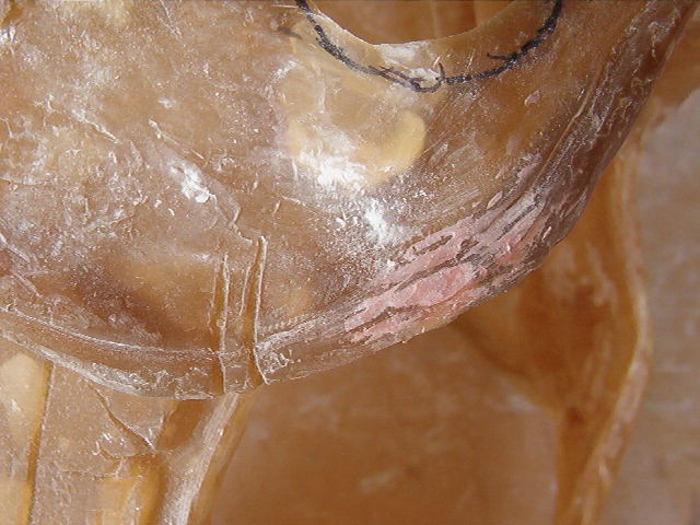 console 010.jpg