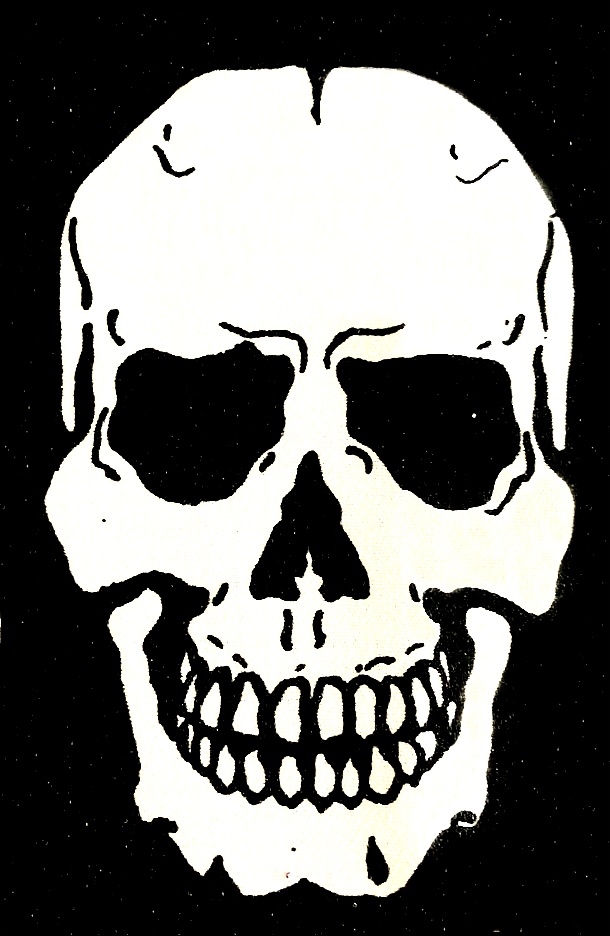 Correct skull patch (2).jpg