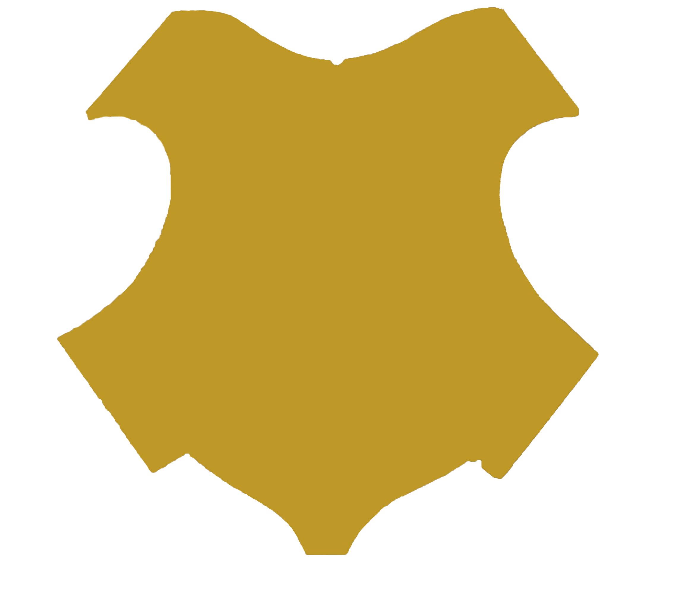 crest3.jpg