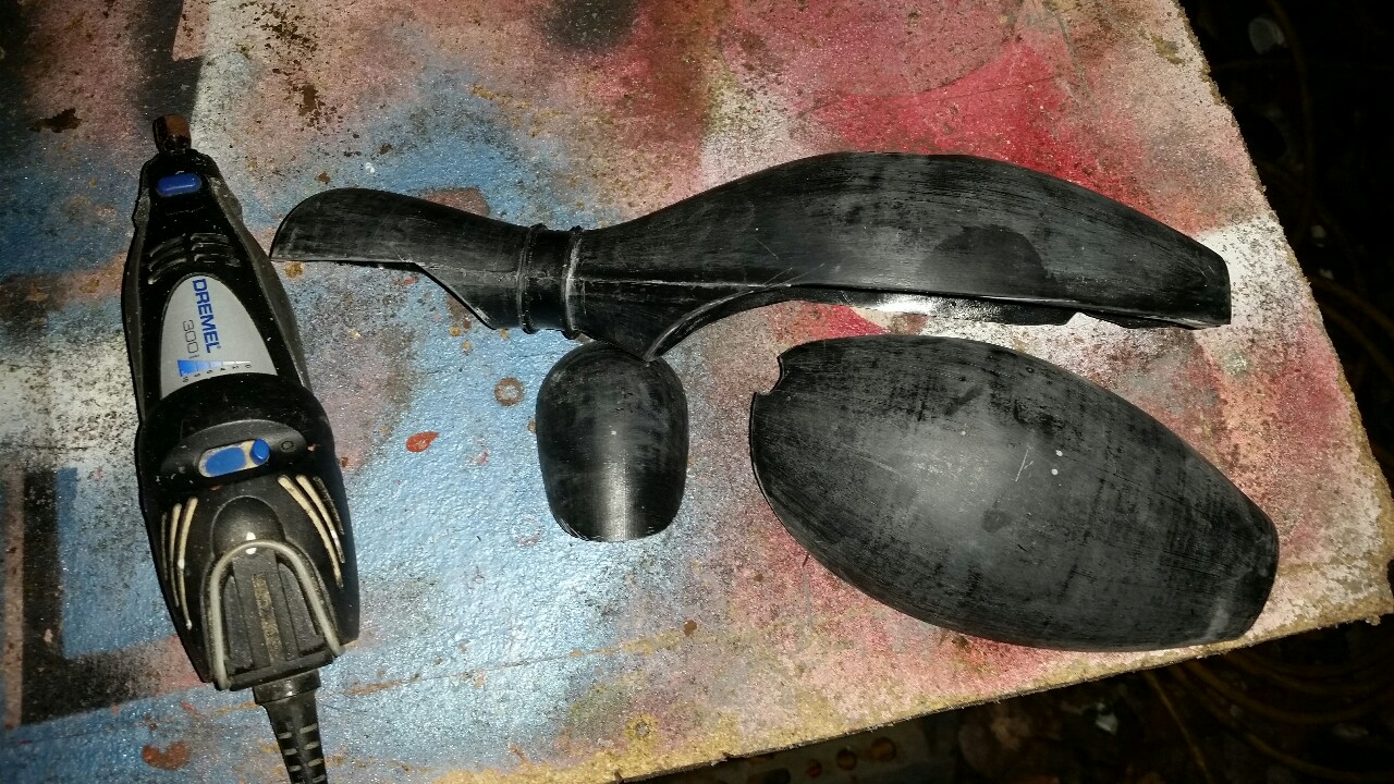 Crow02.jpg