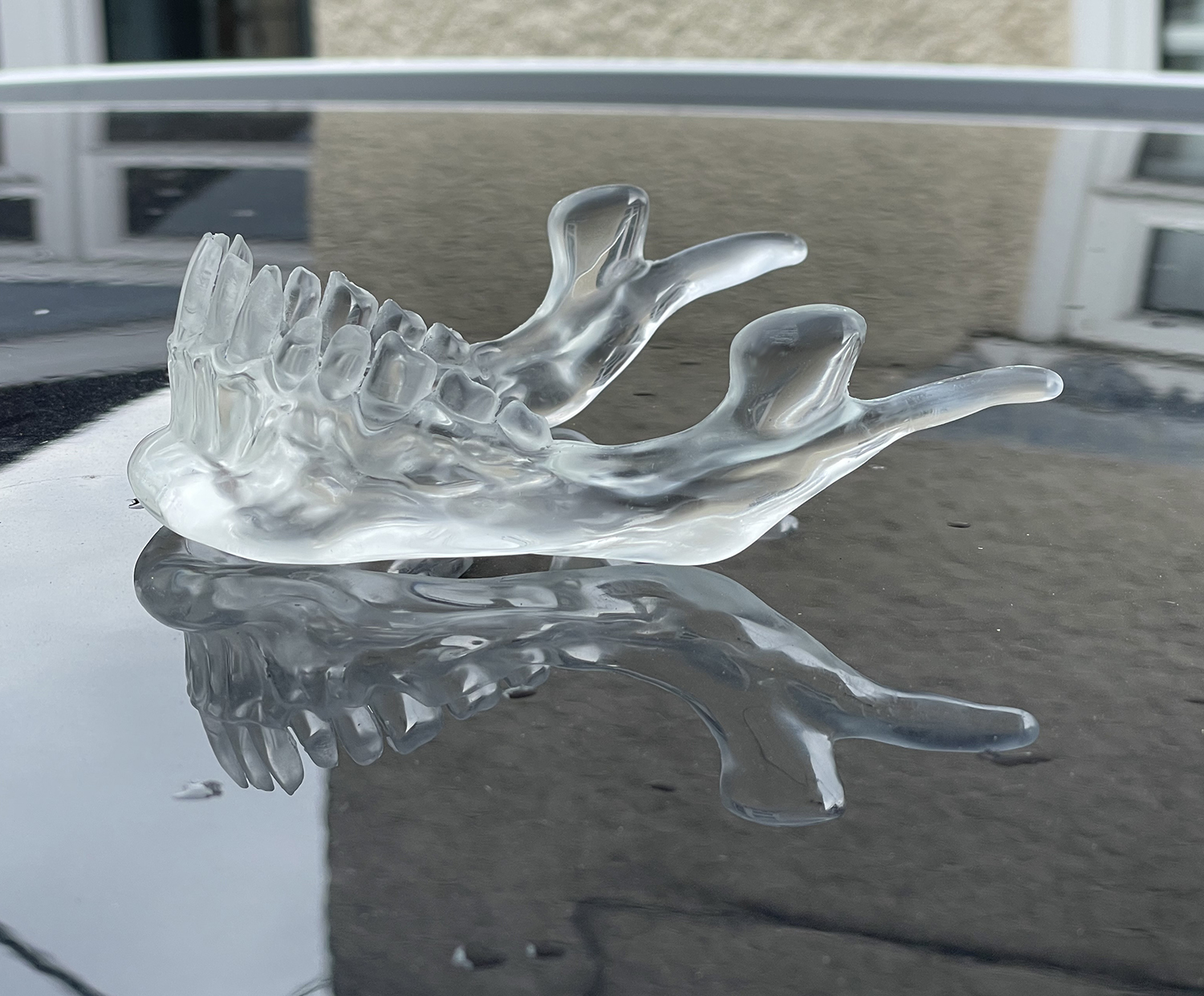 crystaljaw1.jpg