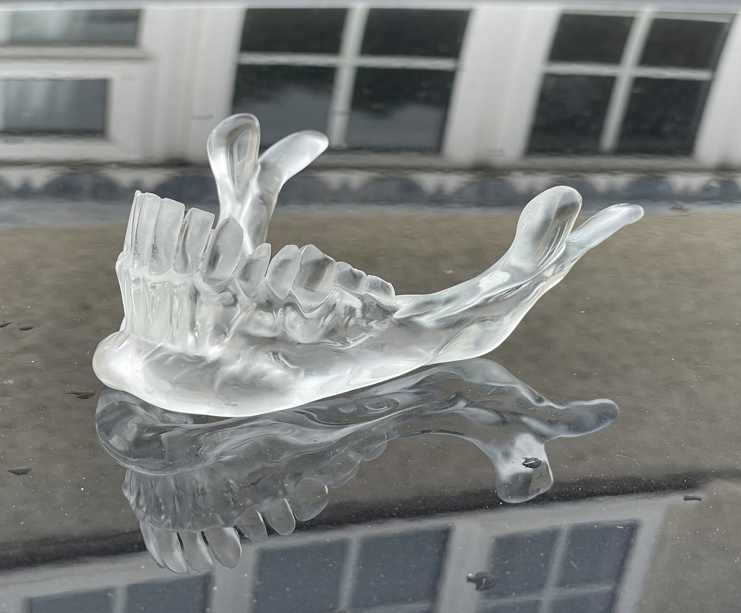 crystaljaw2.jpg