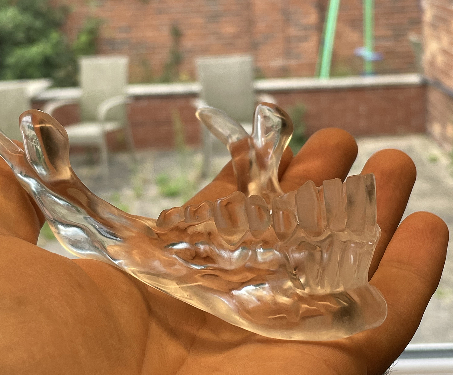 crystaljaw3.jpg