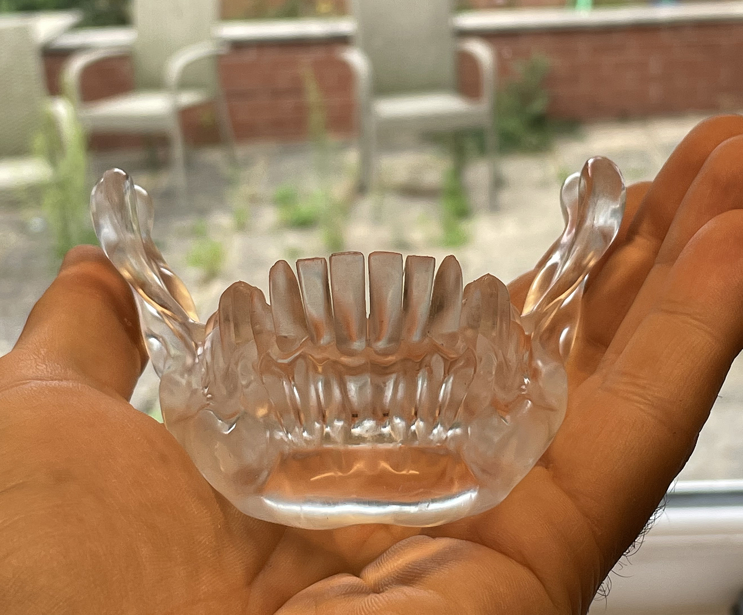 crystaljaw4.jpg