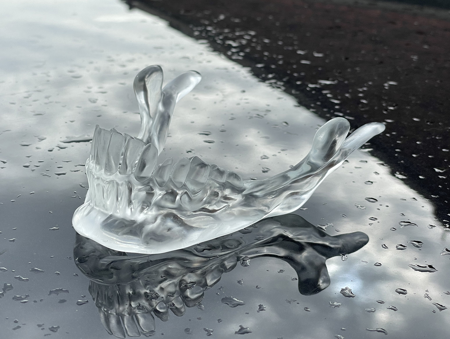 crystaljaw5.jpg