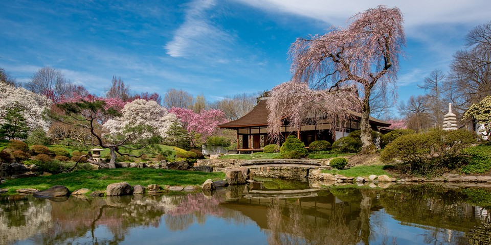 d-gardens-mid-century-modern-collaboration-info-tw.jpg