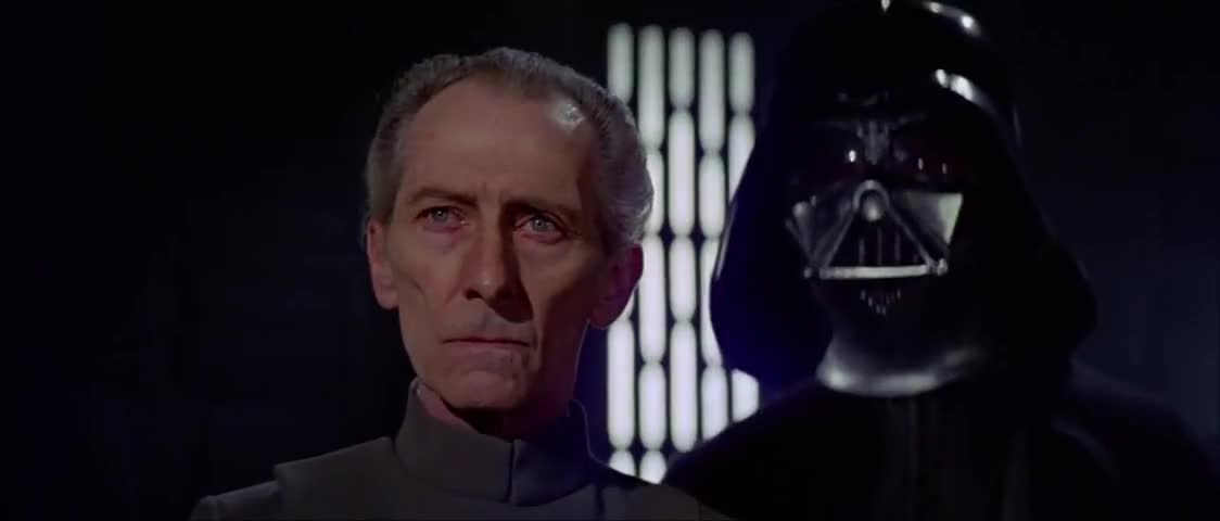db8fa498-0e9d-49f8-ad68-fbd476ab12ac_screenshot.jpg