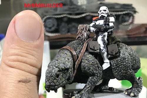 Dewback crop 3.jpg