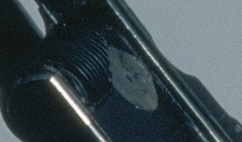 disc.jpg