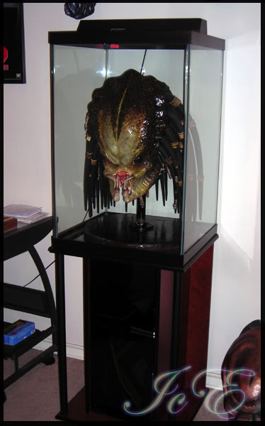 My Pred Mask Display Case  RPF Costume and Prop Maker Community