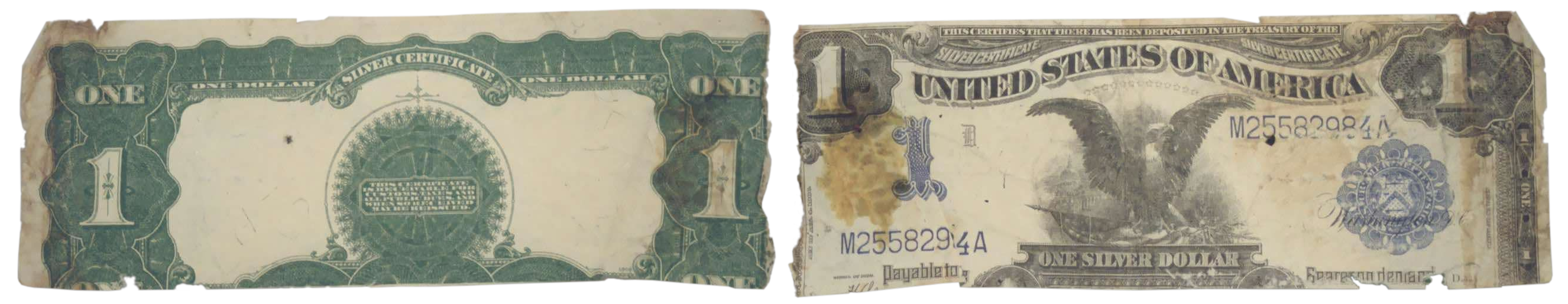 dollar.png