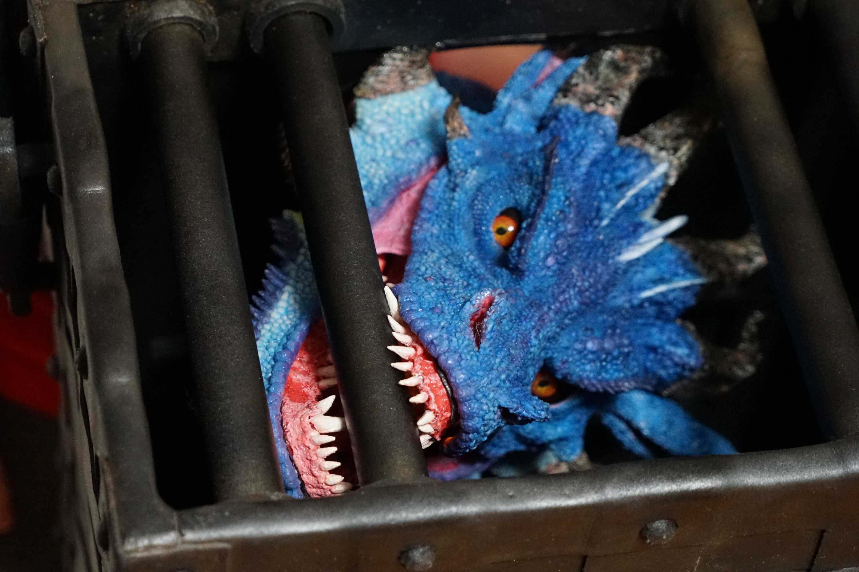 DragonCage_3000.JPG