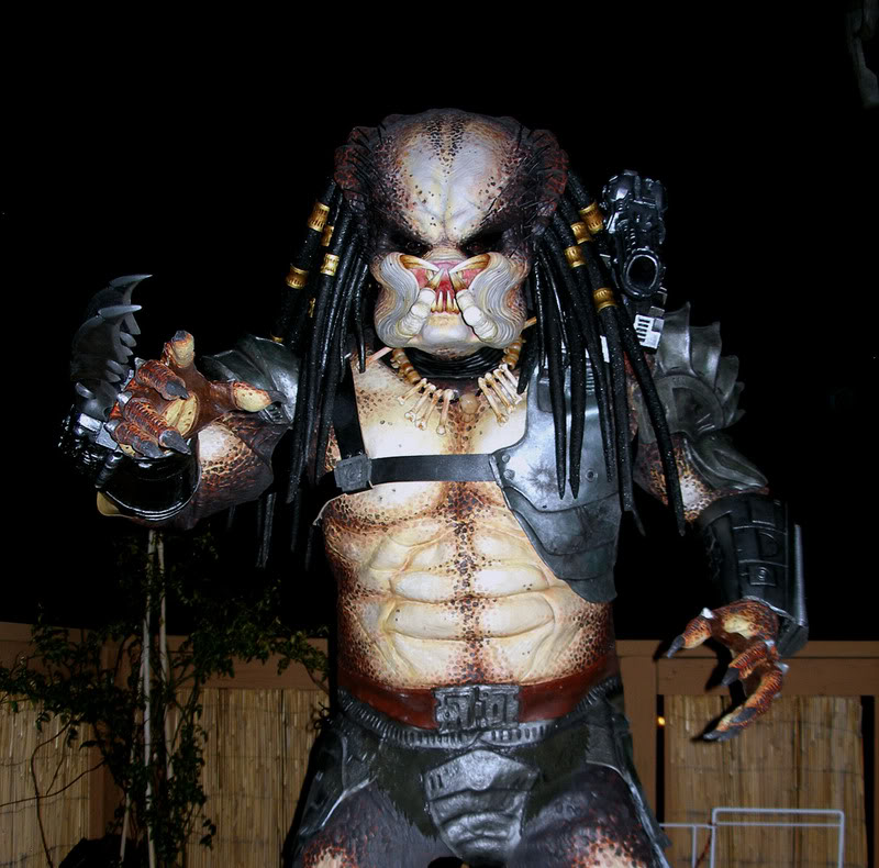 Drgnfyre_CompleteDBP1_07.jpg