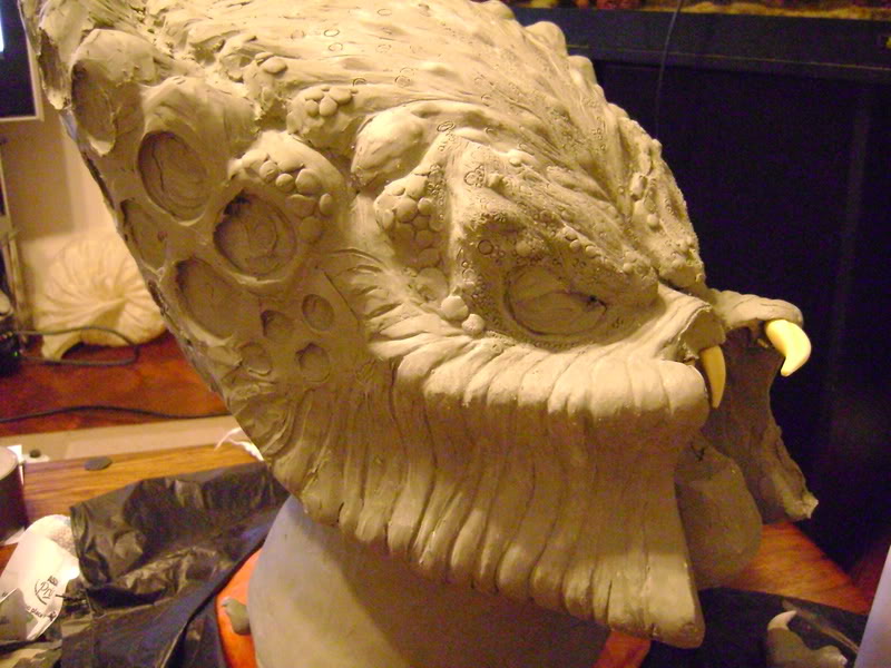 DSC00024.jpg