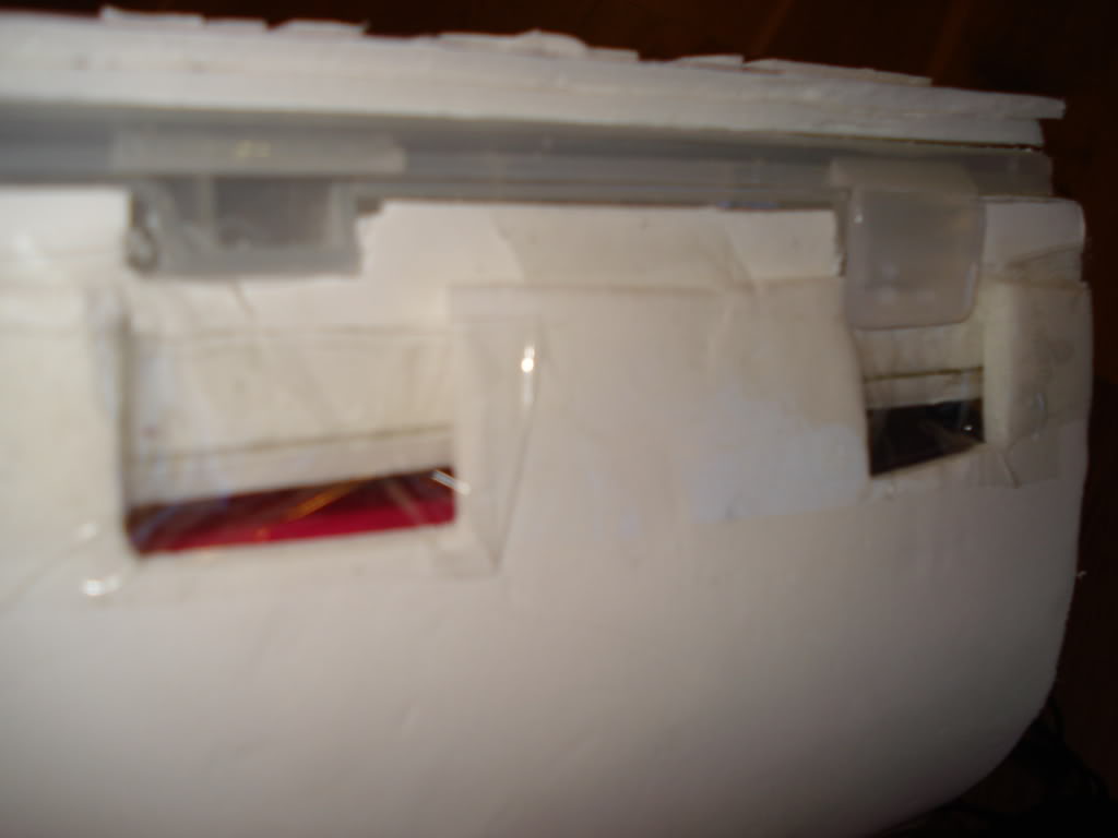 DSC00478.jpg