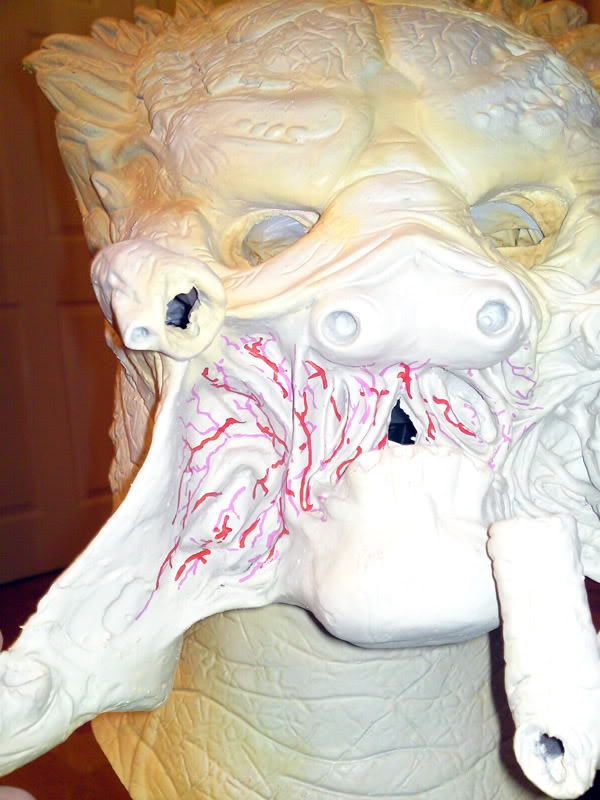 DSC00804.jpg