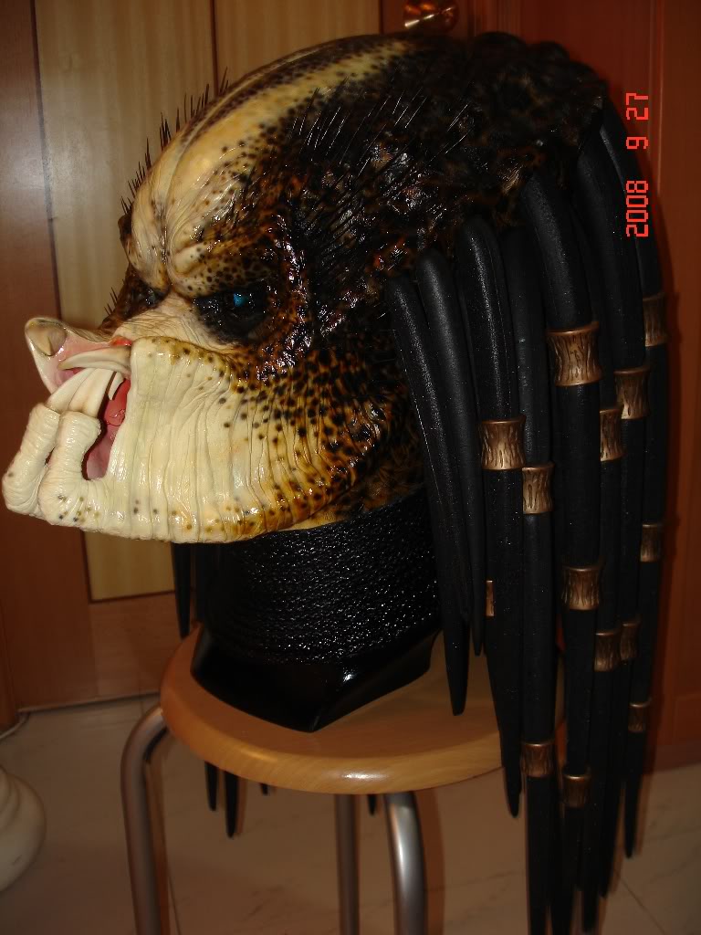 DSC00822.jpg