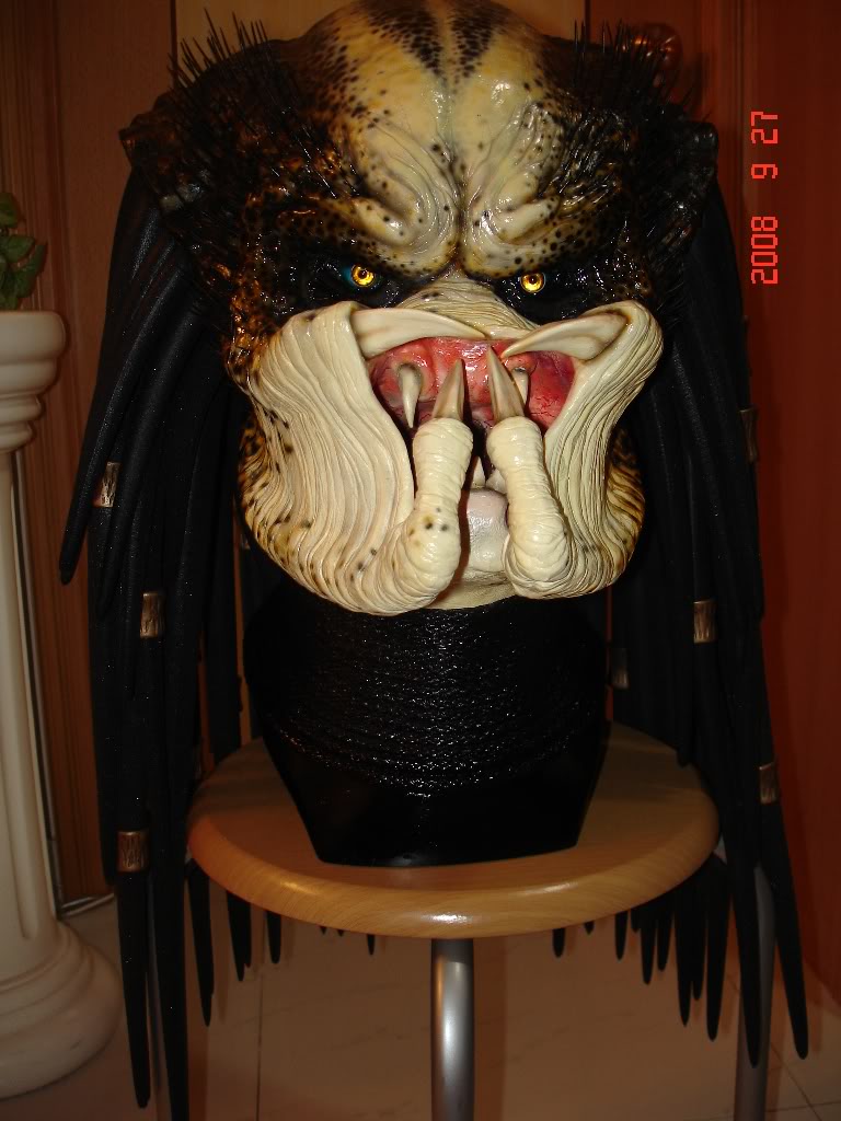 DSC00823.jpg