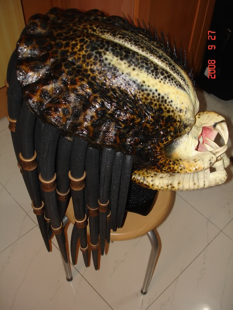 DSC00824.jpg