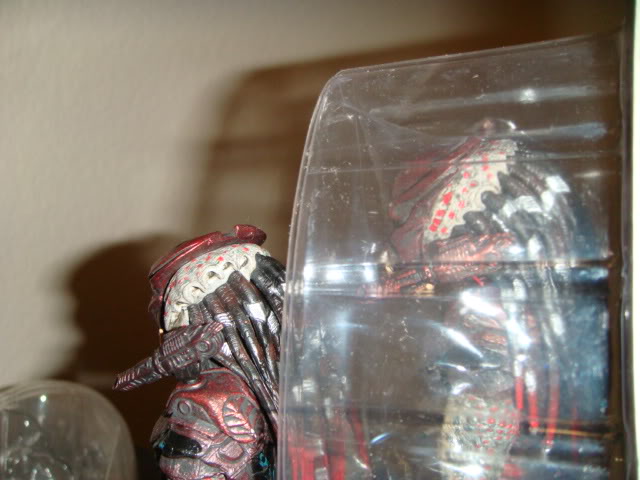 DSC00955.jpg