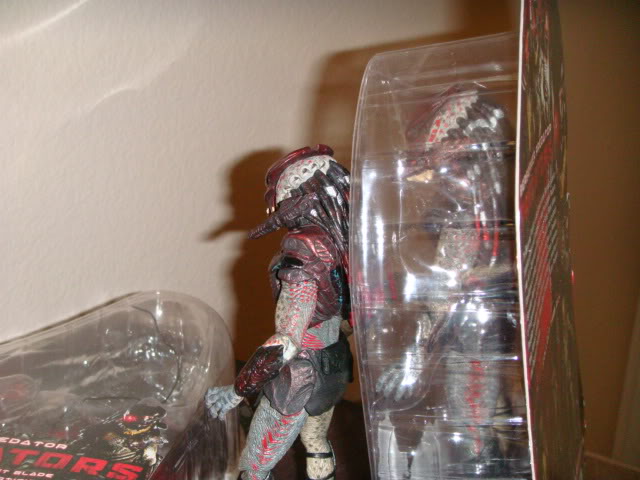DSC00956.jpg