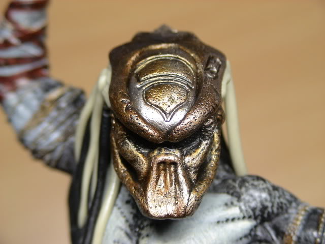 DSC01345-1.jpg