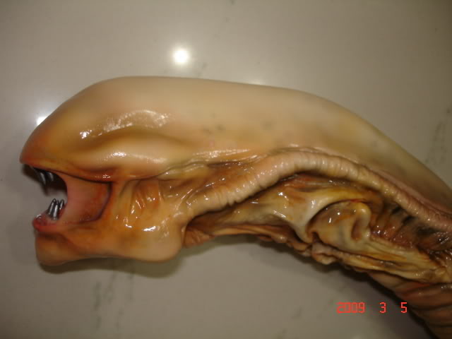 DSC01624.jpg
