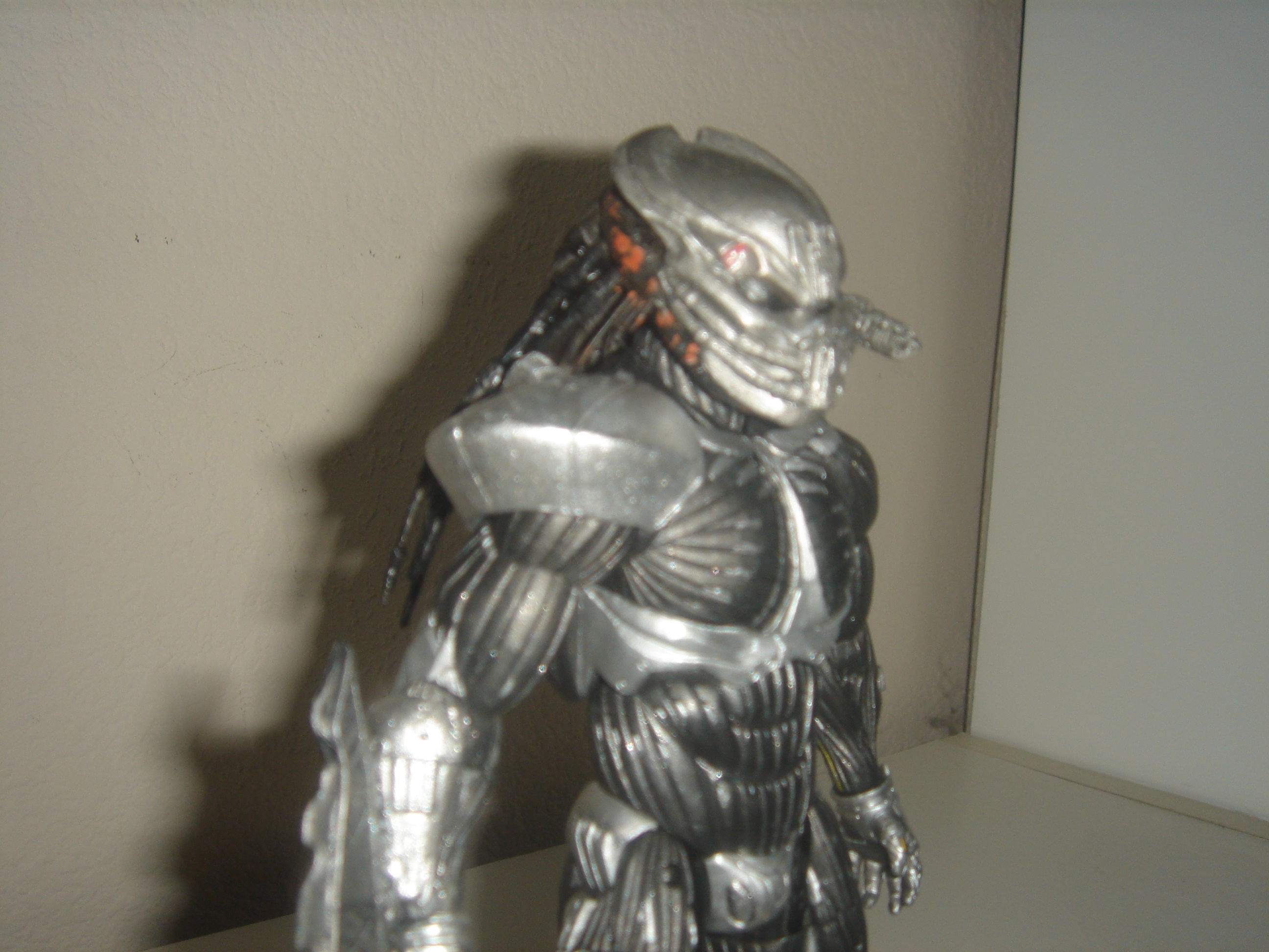 DSC02079.JPG